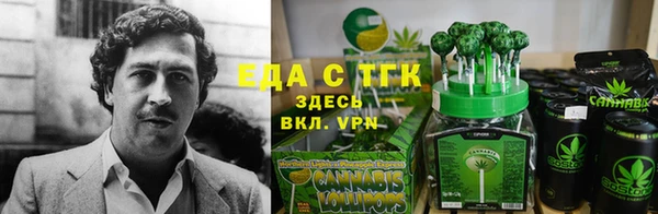 индика Барнаул