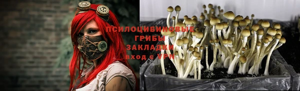 таблы Лиски