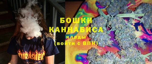 индика Барнаул