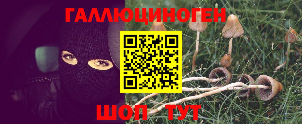 наркошоп  Галлюциногенные грибы мухоморы  Галлюциногенные грибы Cubensis  Вход с VPN  Ноябрьск 