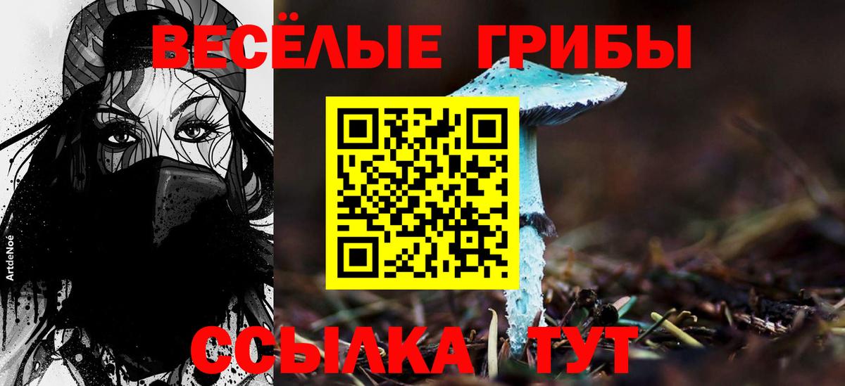 Галлюциногенные грибы прущие грибы Ноябрьск